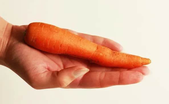 Ile kalorii ma marchew? Wartość odżywcza i korzyści dla zdrowia i diety